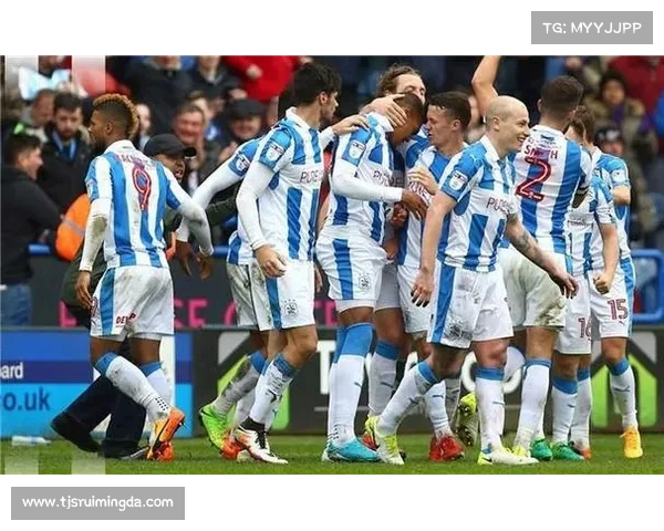 全面解析英冠联赛赛事规则与球队参赛流程指南