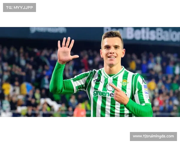 全方位解析洛塞尔索中场组织与攻防转换核心能力全景洞察深度剖析